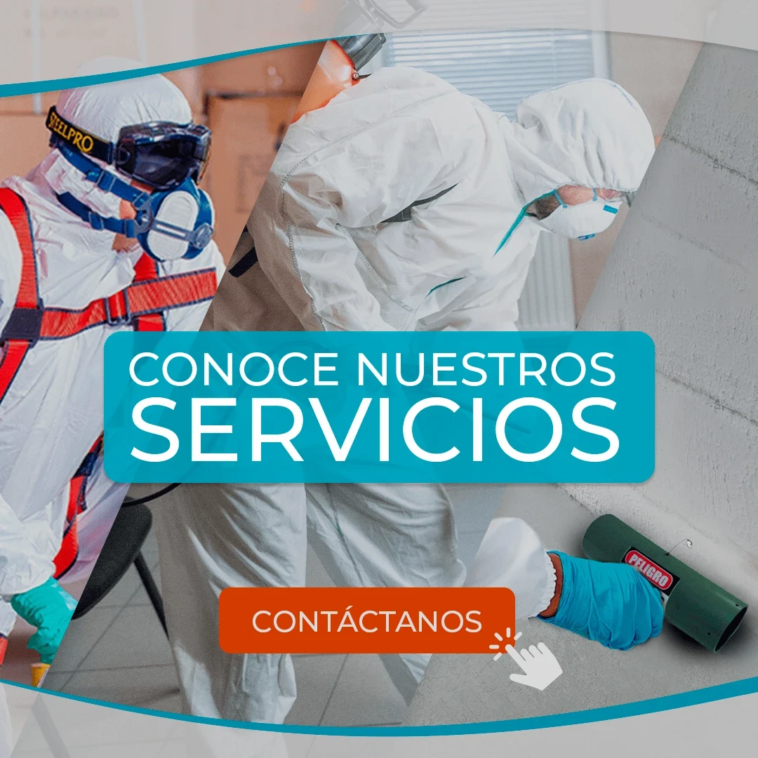 control de plagas